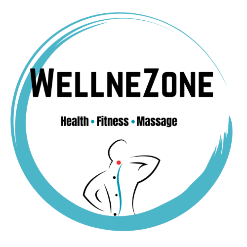 wellnezone transparent logo(1)